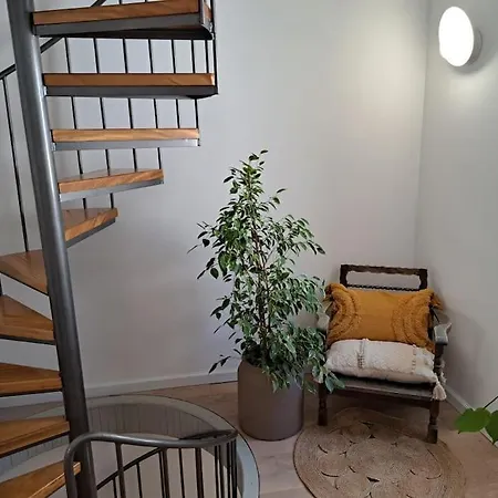House Mvsevm 4*
