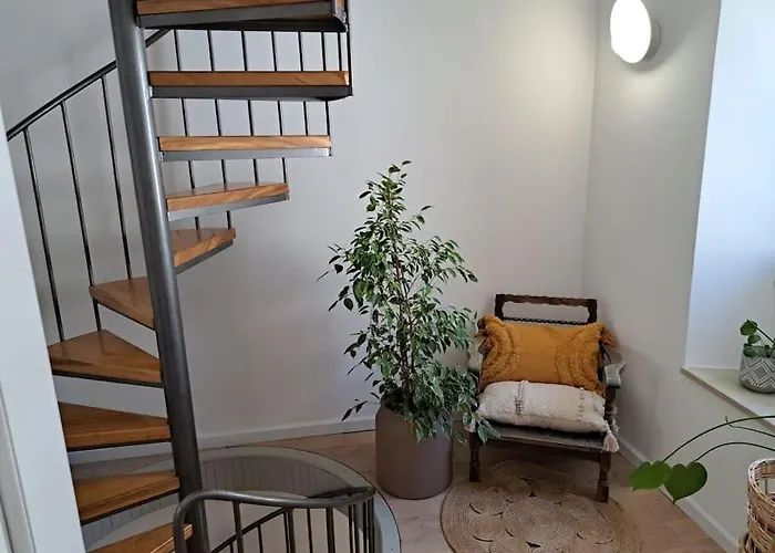 House Mvsevm 4*